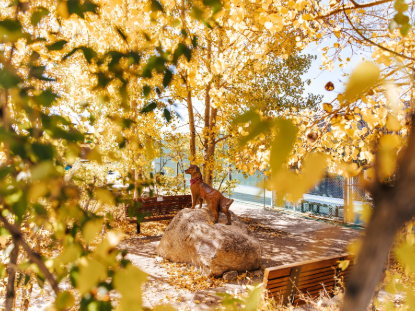 A dog stands proudly on a rock in a park, surrounded by greenery and trees