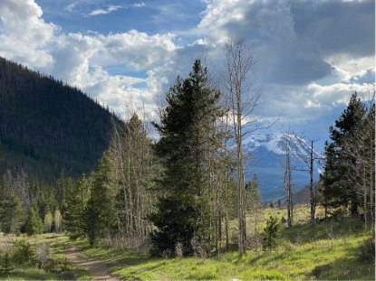 A dirt road winds through trees, leading to a mountain range under a cloudy sky