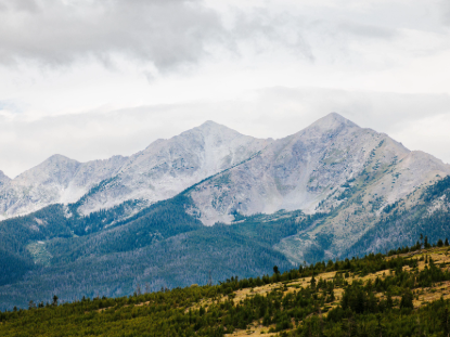 A scenic mountain range with lush trees and a vibrant green grassy field in the foreground