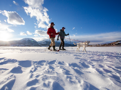 A man and a woman walk their dog through a snowy landscape, surrounded by white snowflakes and a wintery atmosphere