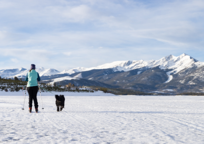 A person and a dog enjoy cross-country skiing together on a snowy landscape.